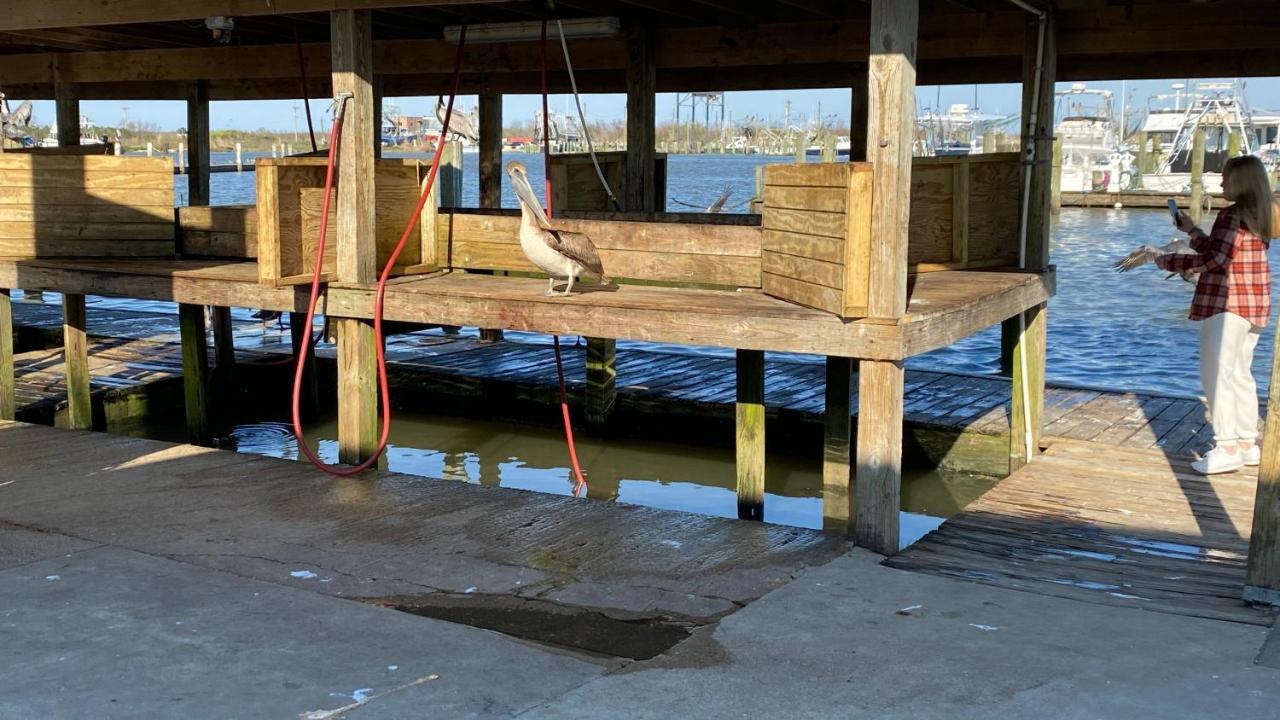 Resort Lodging At Venice Marina W/ Wifi + Private Dock Eksteriør bilde